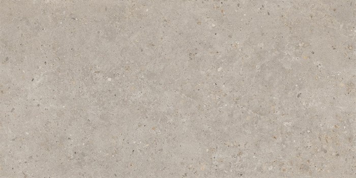 SG540620R Риккарди бежевый матовый обрезной 60x119,5x0,9 - фото 55749