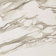 S.M. Calacatta Gold Rett / С.М. Калакатта Голд 60 Рет. 60x60 610010000644