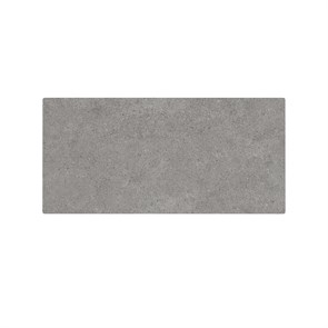 {{photo.Alt || photo.Description || 'PL4.DL500900R\100 Спец. изделие без отверстий 100 см Фондамента серый'}}