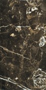 Imperium Brown 31x60