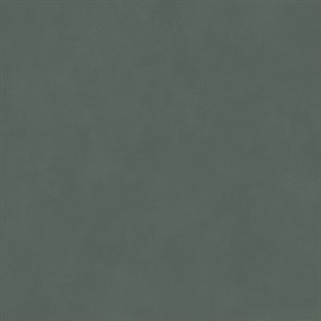 DD642120R Про Чементо зелёный матовый обрезной 60x60x0,9 (1,44)