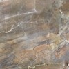 Rich Керамогранит коричневый RI 0056 60х60 - фото 39646