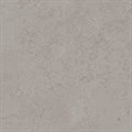 DD640900R Про Лаймстоун серый натуральный обрезной 60х60 60x60x11 - фото 40820